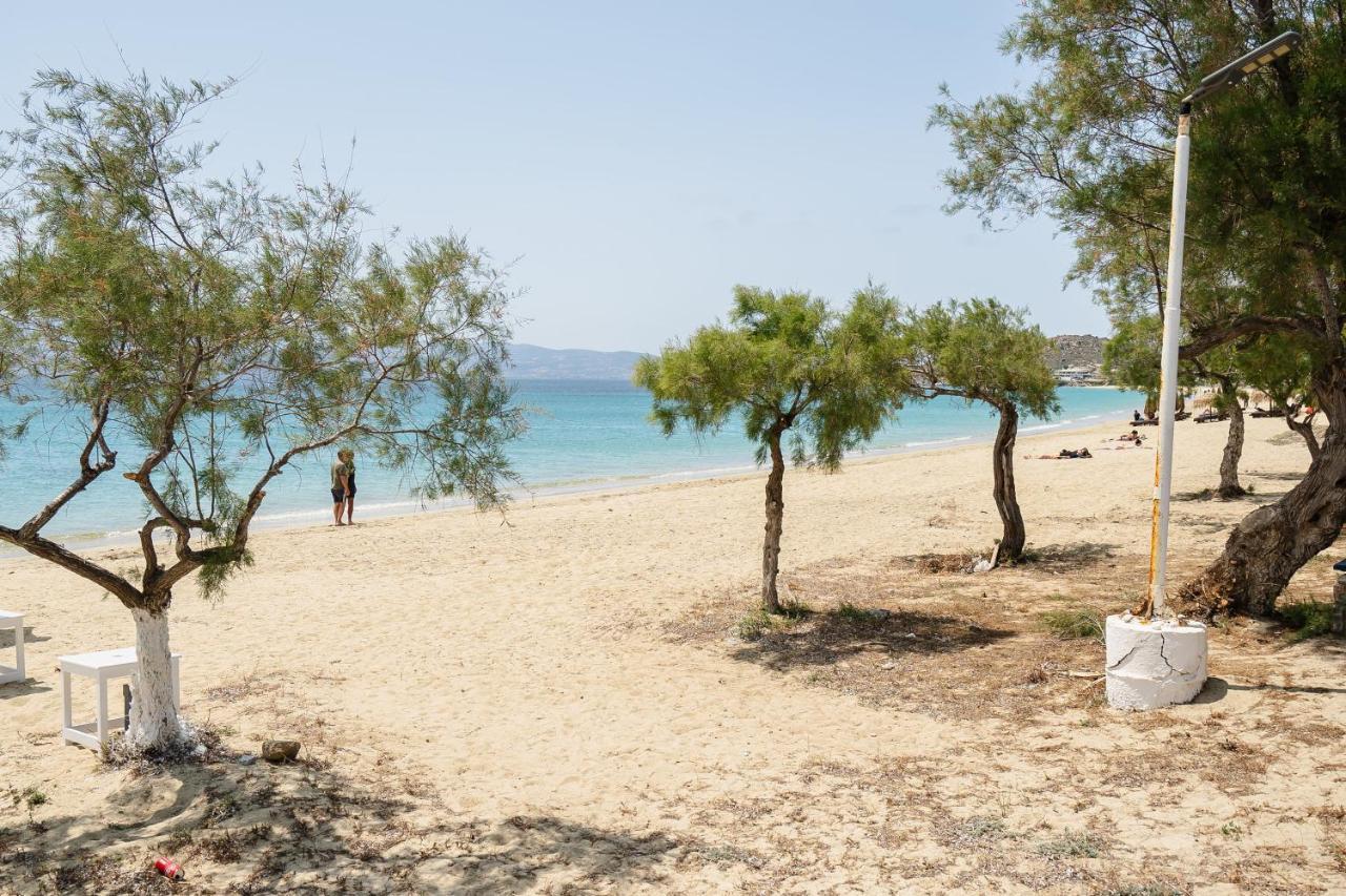 Flerianos Studios Naxos Άγιος Προκόπιος Εξωτερικό φωτογραφία